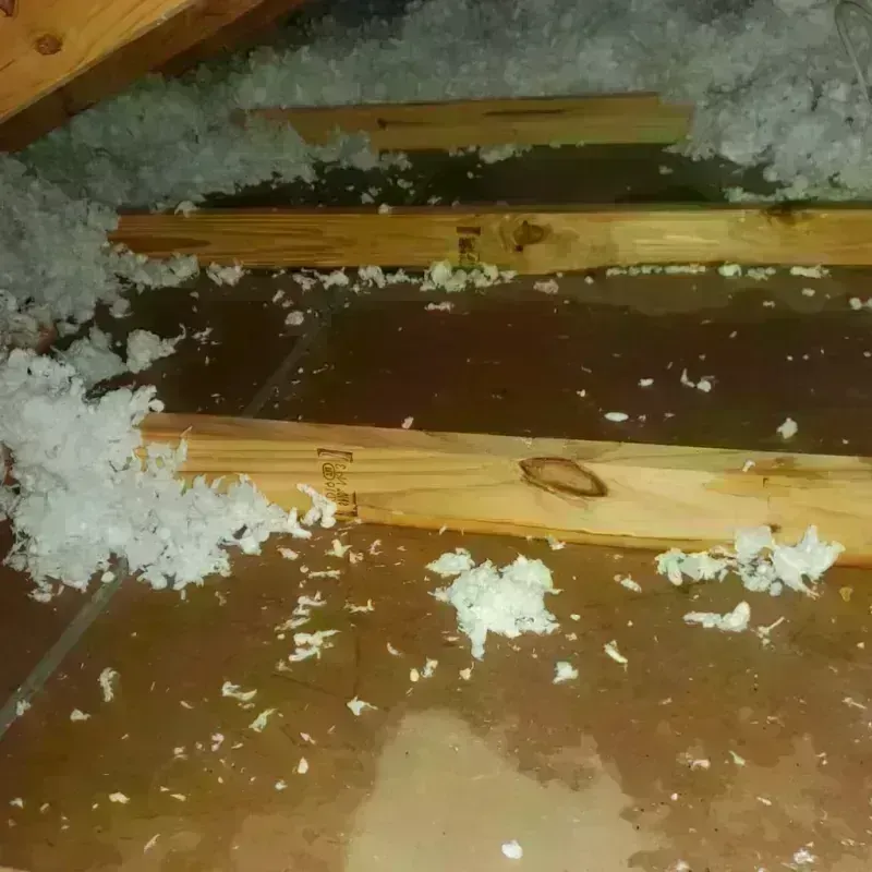 Attic Water Damage in Temple, PA